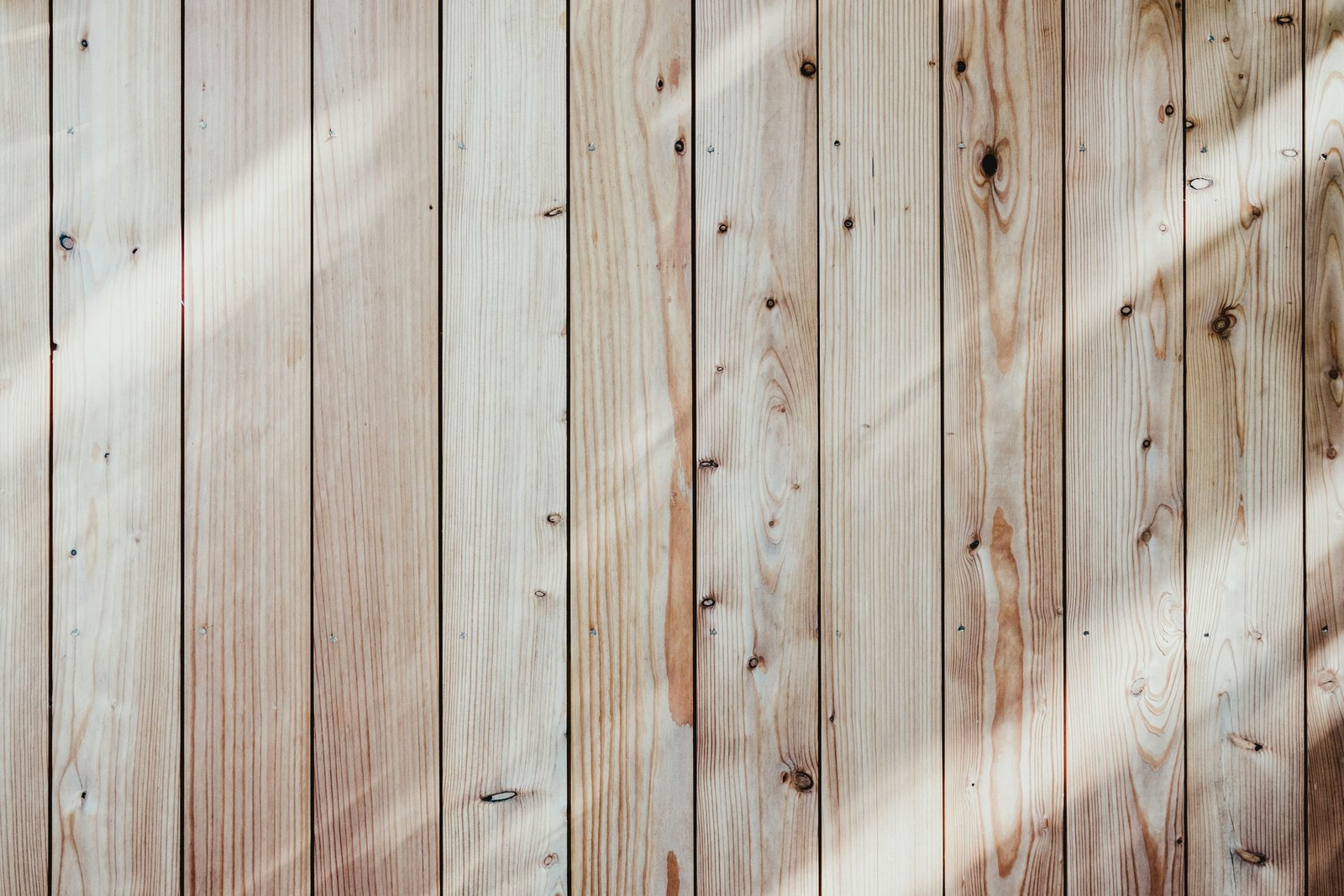 wood dental care products