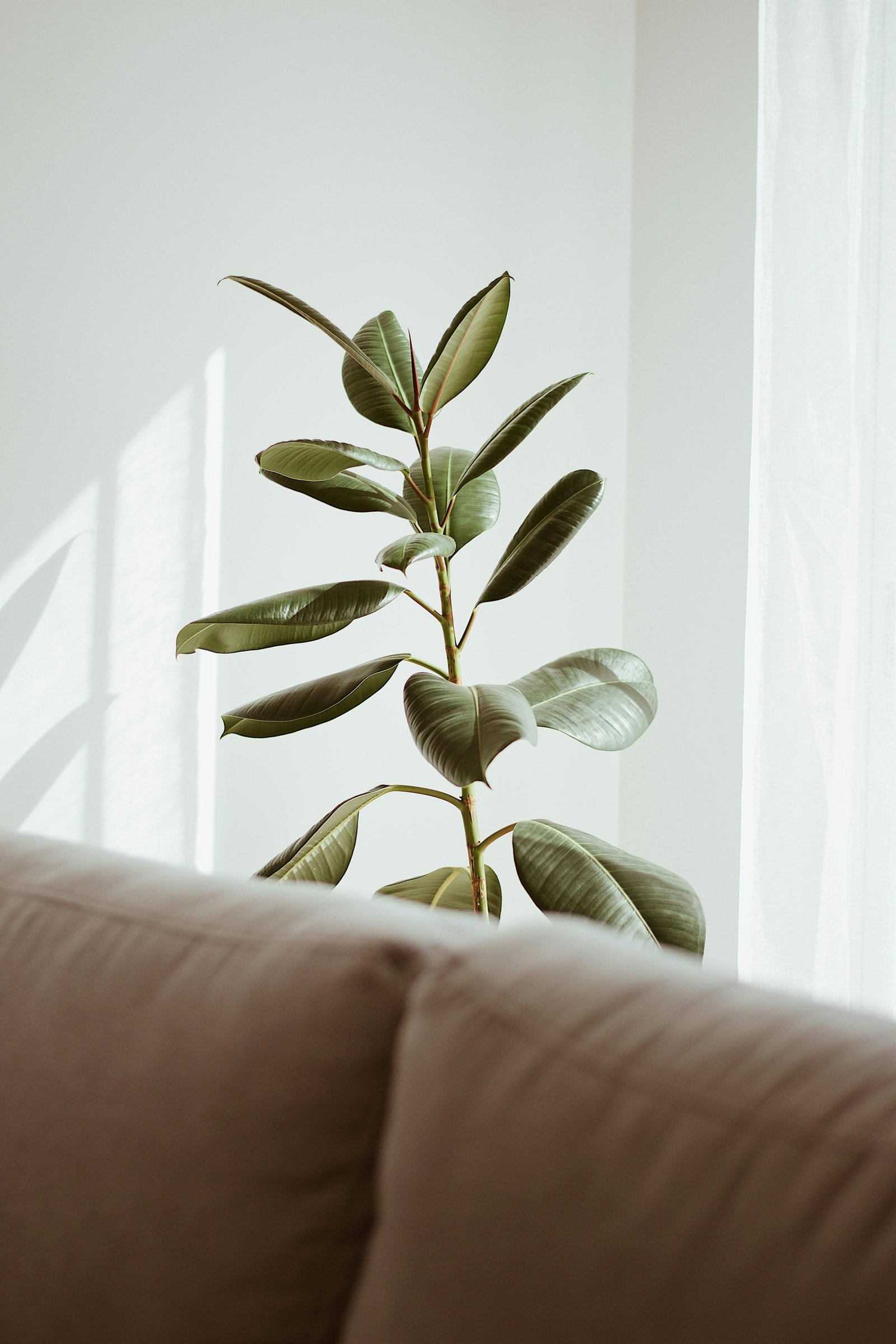 indoor air quality