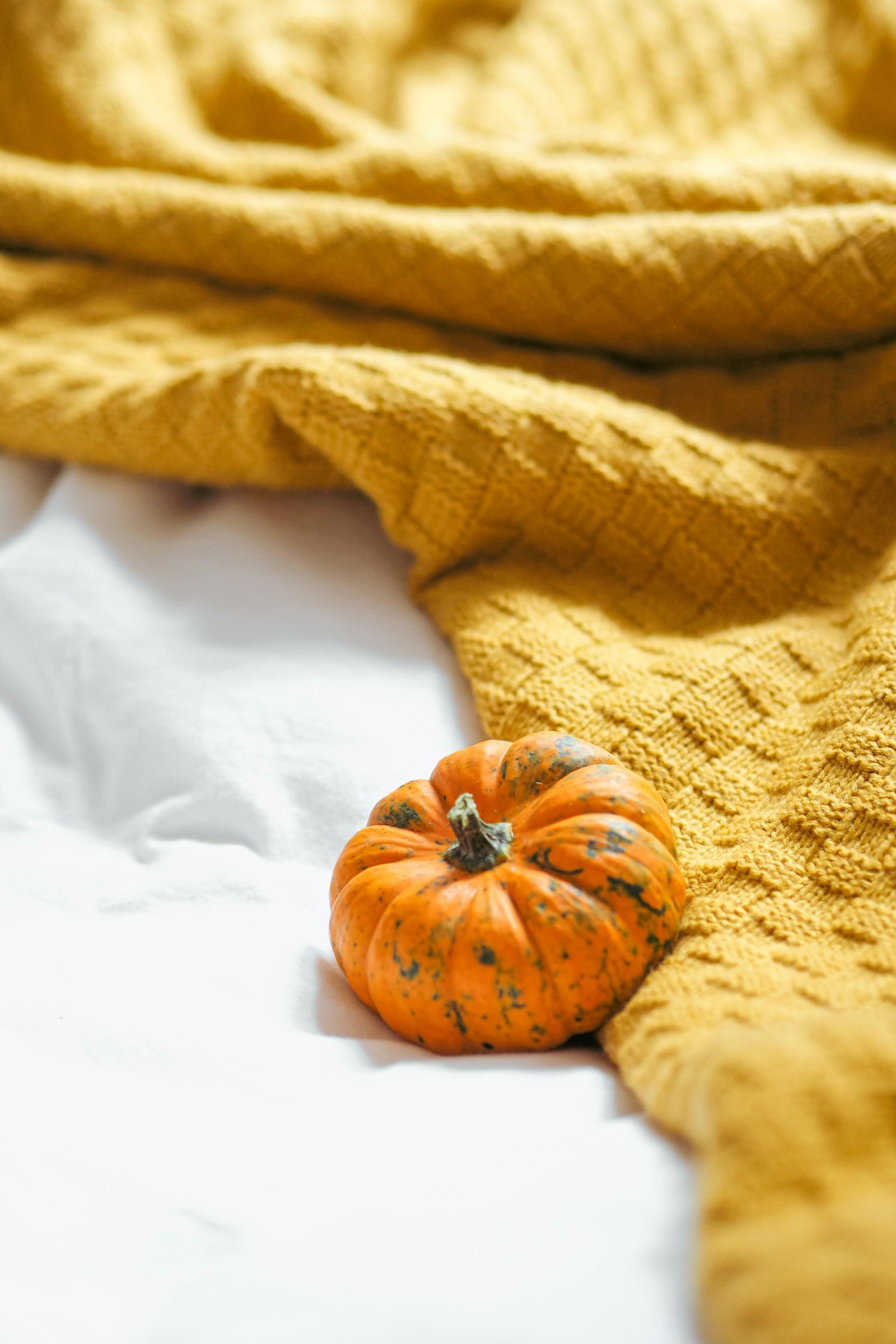 seasonal sleepwear