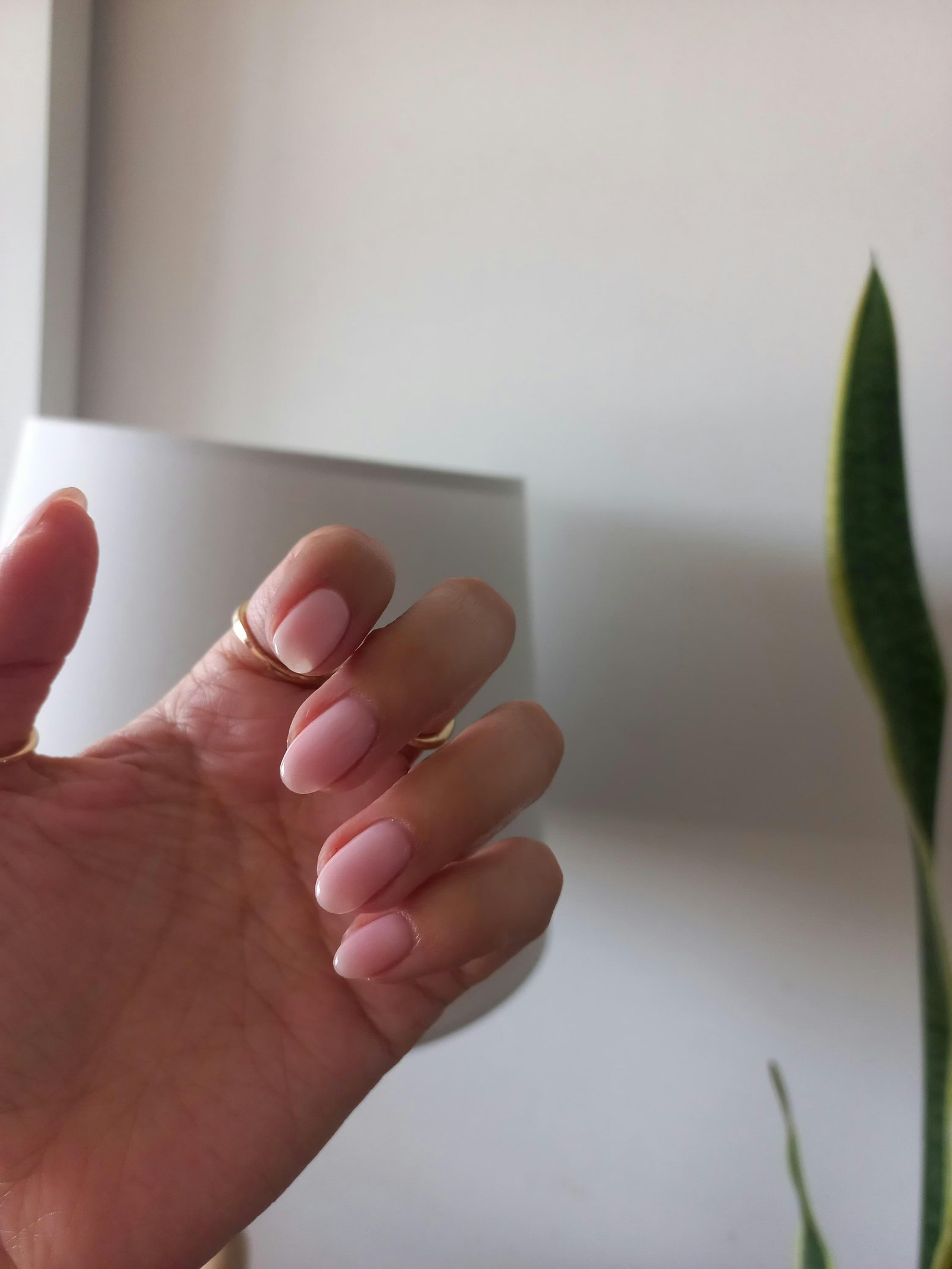 rapid nail growth