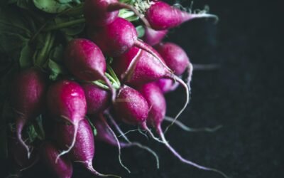 Slice and Dice: The Top Vegetable Cutters for Quick and Easy Meal Prep