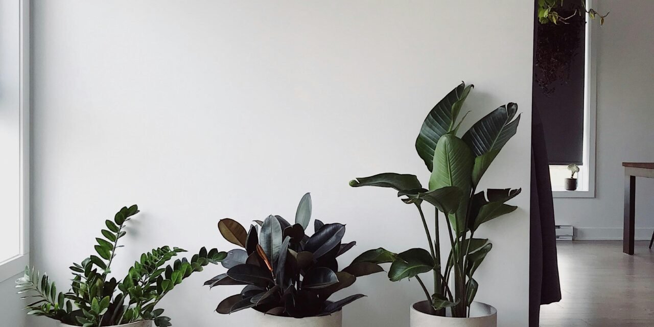 Home Decor Lighting Showdown: LED vs. Halogen – Which is the Smarter Choice for Your Space?