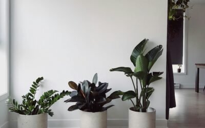 Home Decor Lighting Showdown: LED vs. Halogen – Which is the Smarter Choice for Your Space?