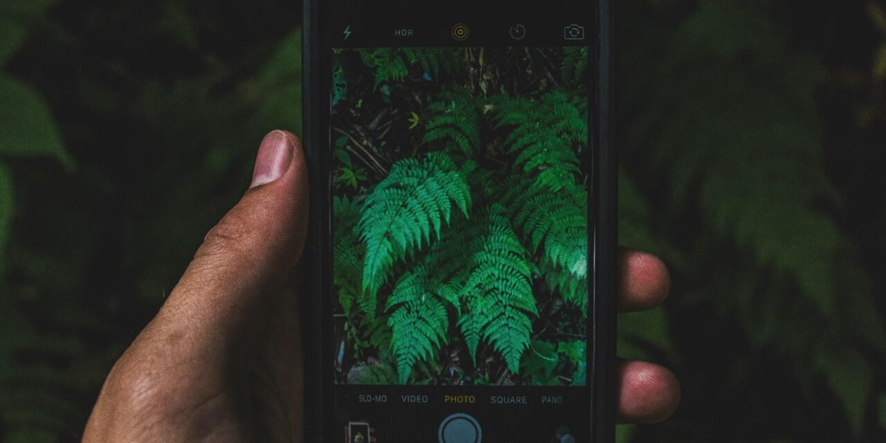Top 5 Smartphones for Photography in 2024: Capture Stunning Shots with Your Mobile Device