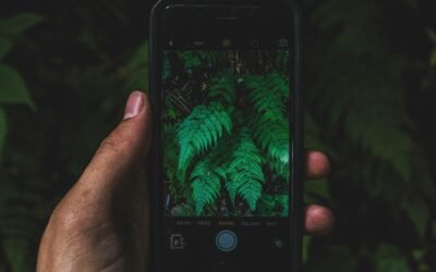 Top 5 Smartphones for Photography in 2024: Capture Stunning Shots with Your Mobile Device