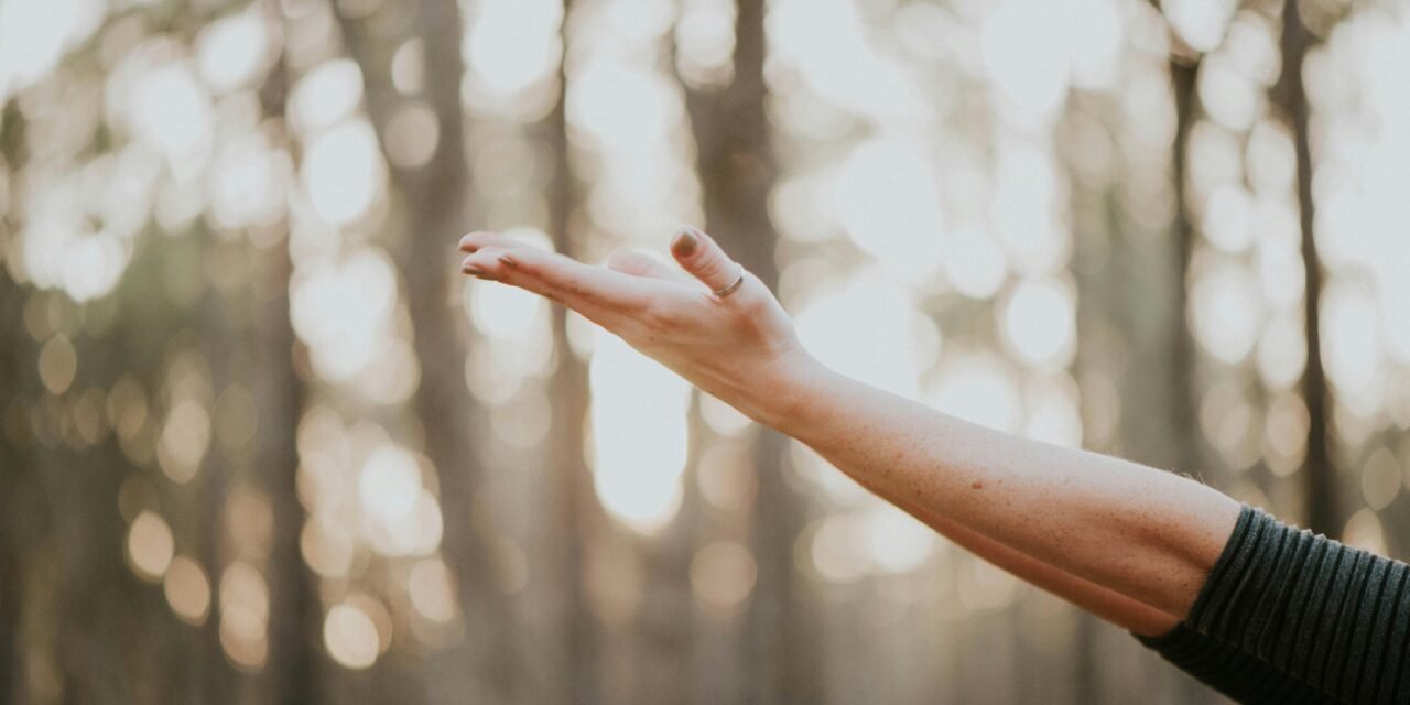 5 Essential Wellness Tips to Boost Your Indoor Air Quality