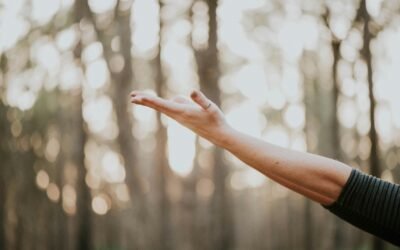 5 Essential Wellness Tips to Boost Your Indoor Air Quality