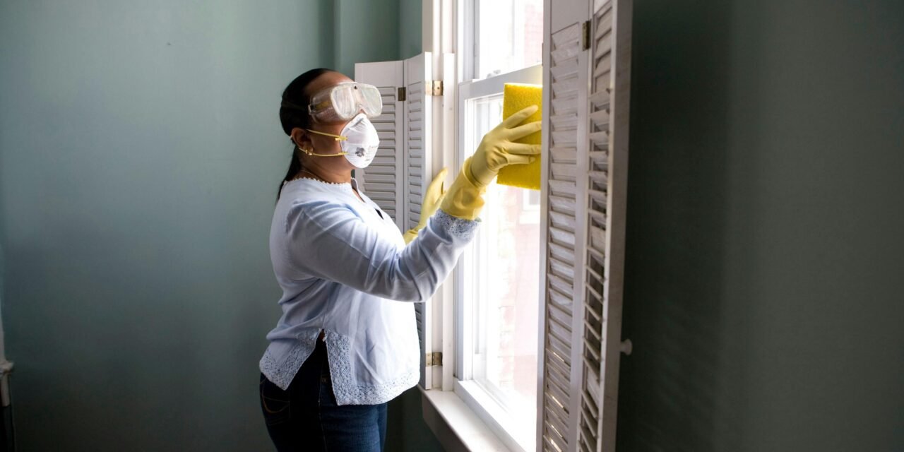 Top 5 Eco-Friendly Cleaning Supplies for a Sparkling Kitchen and Bathroom