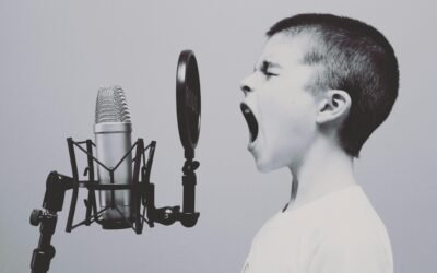 Voice Control Vulnerabilities: How Secure Is Your Smart Home in Daily Life?