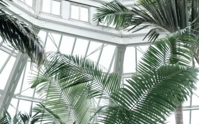 Transform Your Conservatory: The Ultimate Guide to Choosing the Best Garden Furniture