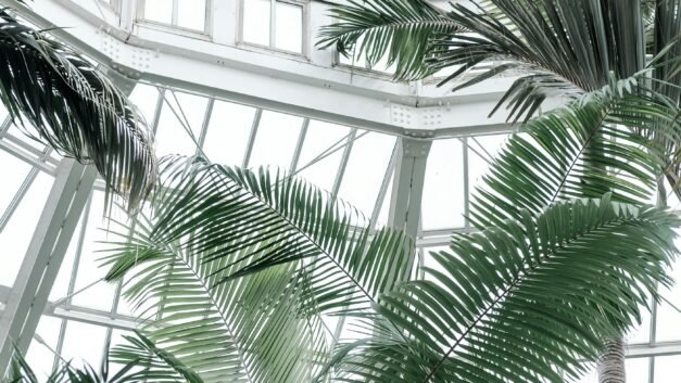 Transform Your Conservatory: The Ultimate Guide to Choosing the Best Garden Furniture