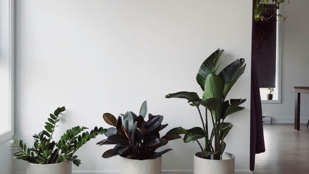 Wall Decor vs. Table Decor: Which Home Accent Transforms Your Space Best?