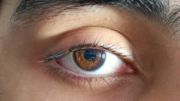 Top 5 Best Neutral Eyeshadow Palettes for Effortless Daily Makeup