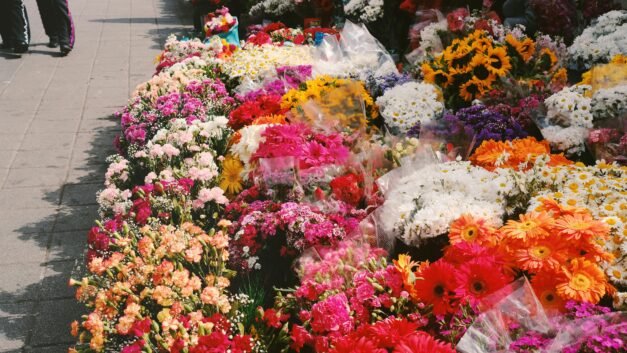 Embrace Everyday Elegance: The Best Floral and Fruity Fragrances for Daily Wear