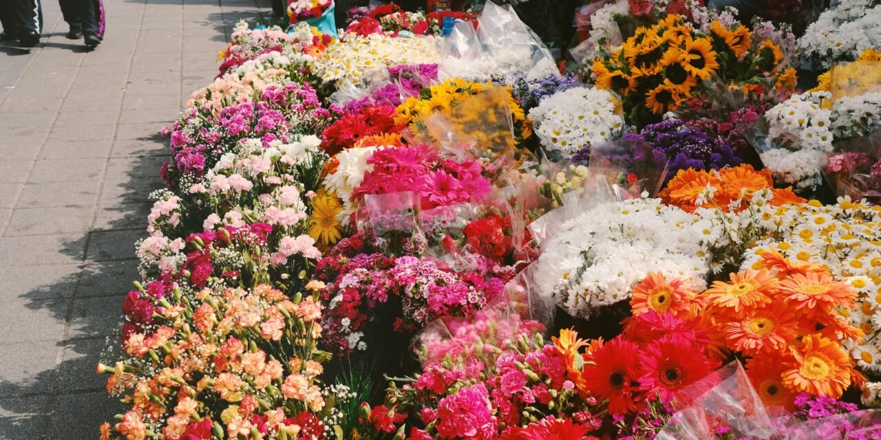 Elevate Your Everyday: The Best Floral and Fruity Fragrances for a Fresh, All-Day Scent